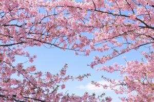 3年目の節目に思うこと 〜人が増えるという安心〜